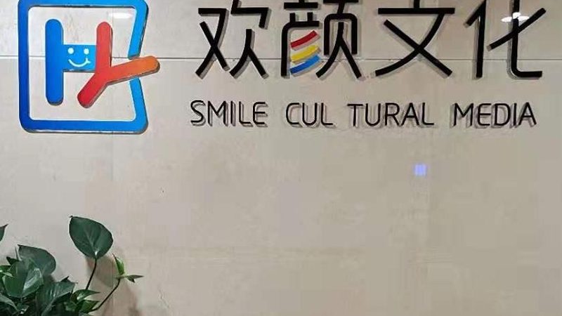 成都文化传媒公司新媒体运营